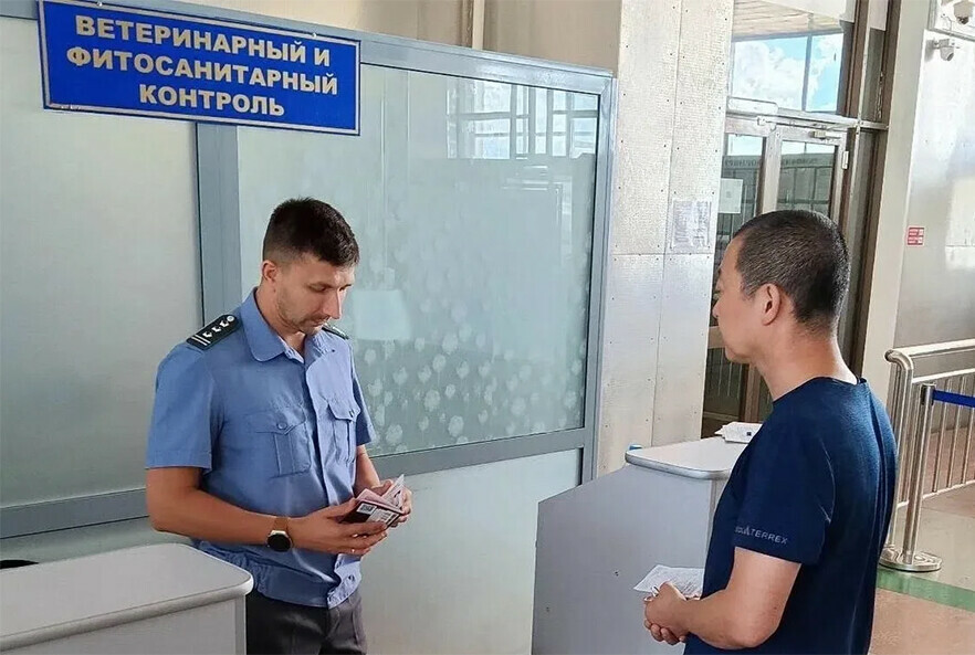 Больше 100 килограммов мяса уничтожили на границе с Благовещенском