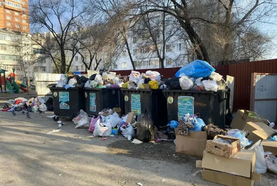 Что делать благовещенцам если контейнерные площадки во дворах замусорены