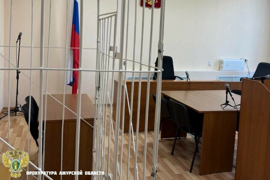 Озвучена сумма штрафа амурчанке которая поцарапала полицейского