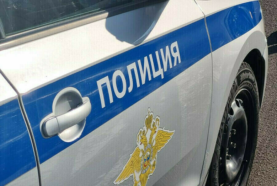 Амурчанин остался без трусов в машине инспекторов ДПС