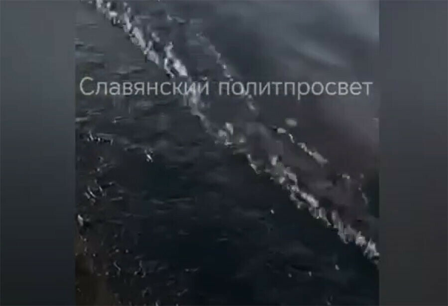 ЧП в любимом месте отдыха мазутное пятно накрыло популярный залив Приморья видео