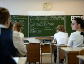 Правительство упростило правила сдачи выпускных экзаменов в 2021 году