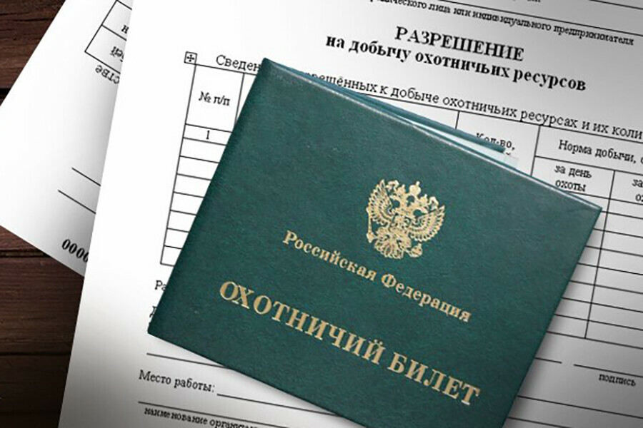 Амурским охотникам назвали ошибки изза которых они получают отказ на разрешение охоты 