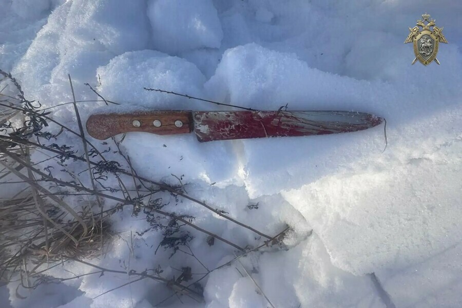 Душил бил и резал в Амурской области 15летнего подростка обвиняют в жестоком убийстве