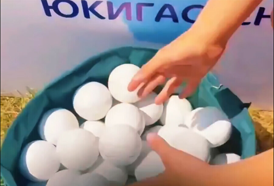 Благовещенцев зовут на Берега вкуса побросаться настоящими снежками видео