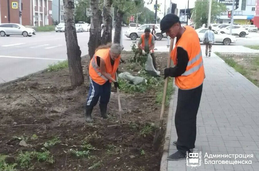 С мая в Благовещенске высадили две тонны травы