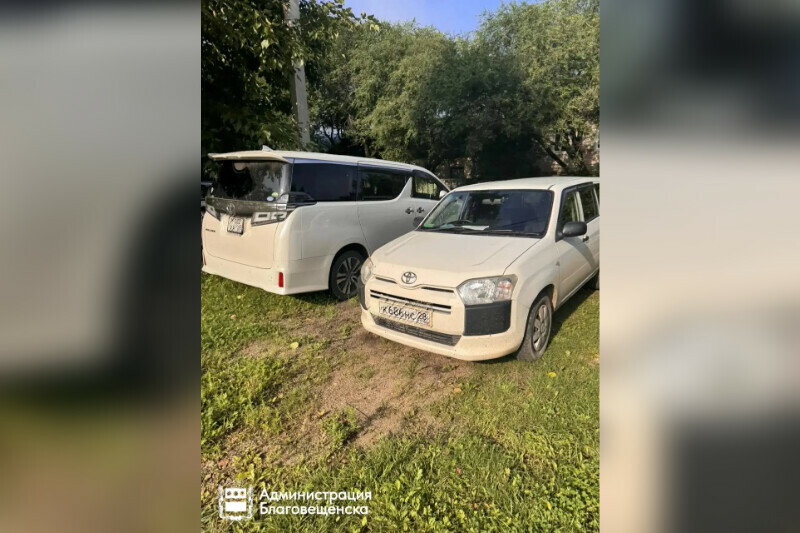 Сколько заплатили благовещенцы за удовольствие парковаться на зеленой траве фото