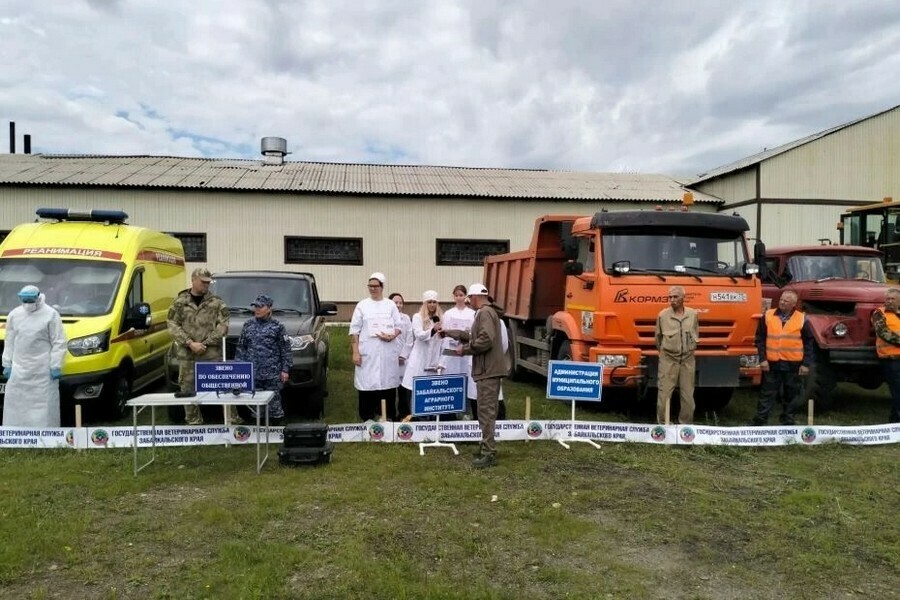 Специалисты из Приамурья стали экспертами масштабных противоэпизоотических учений в Чите фото 
