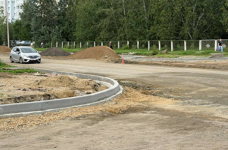 Мэр Благовещенска снова вышел на дороги фото