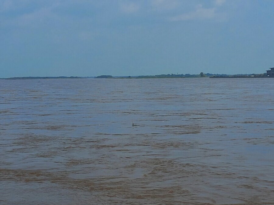 В Амурской области ждут подъем воды по всей Селемдже Что с Амуром и Зеей