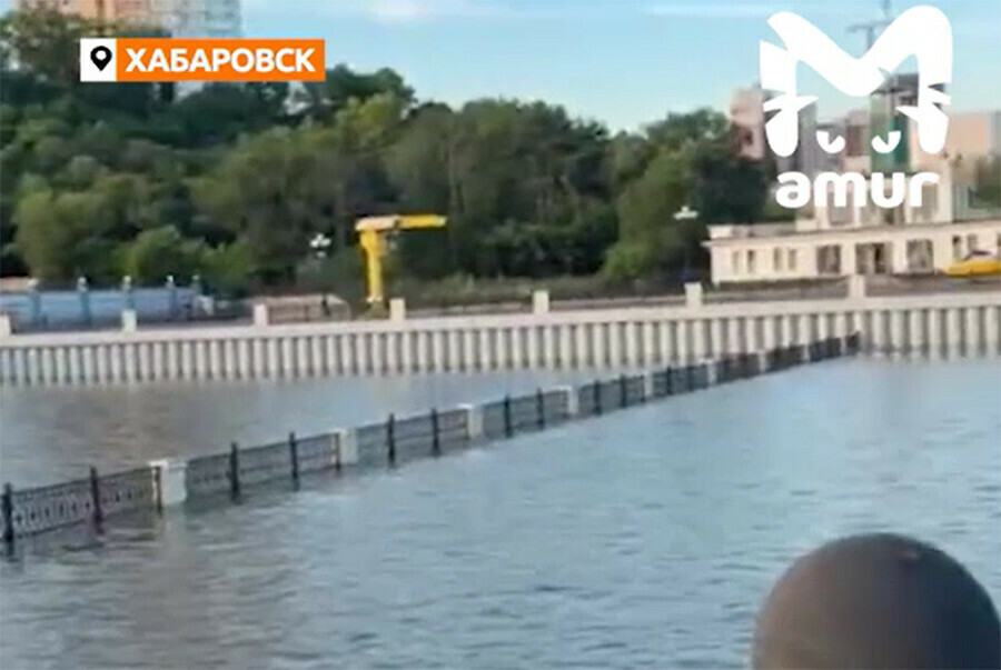Заплывы на набережной и спасение урожая уровень Амура повышается с каждым днем видео
