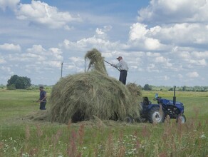 В Приамурье молодым специалистам приехавшим на работу в село выплачивают 150 тысяч рублей подъемных