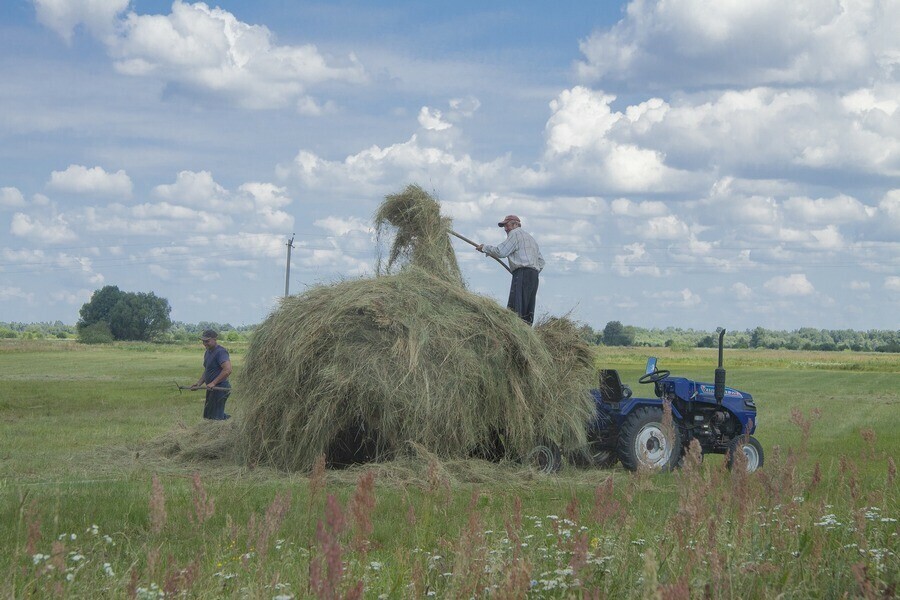 В Приамурье молодым специалистам приехавшим на работу в село выплачивают 150 тысяч рублей подъемных