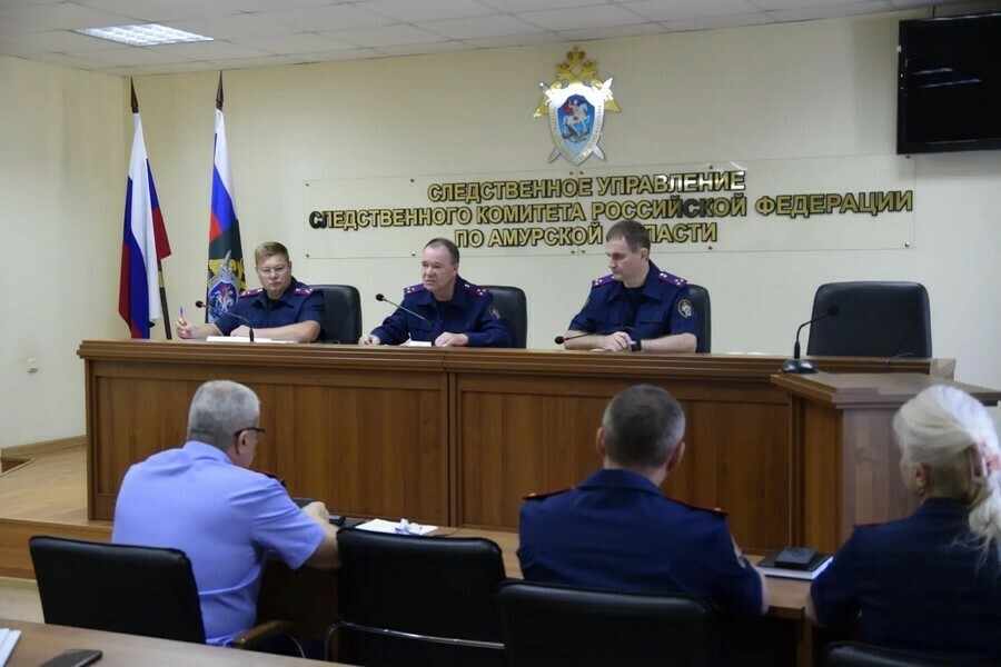 Амурский СК озвучил топ преступлений этого года по которым возбуждали уголовные дела 