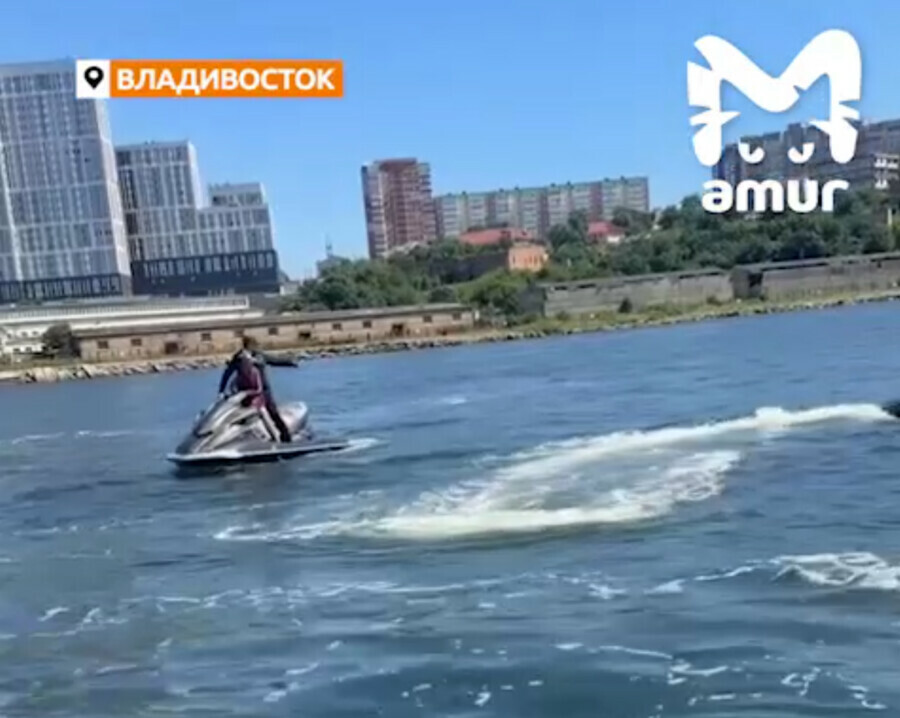 Акула кружила у пляжа во Владивостоке