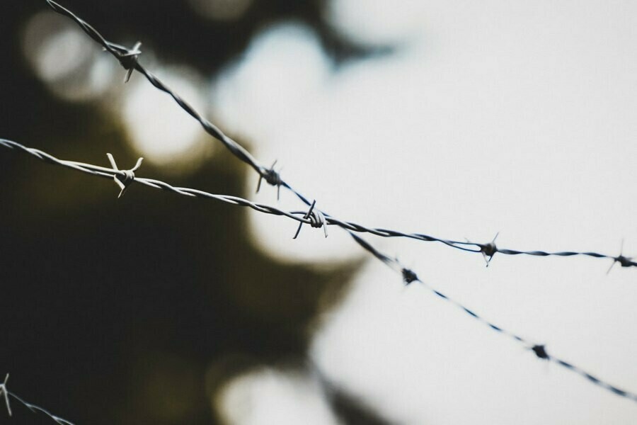 Сбежала с работы и уехала в другой округ амурчанка из колониипоселения получит новый срок