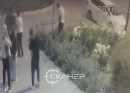 В центре Благовещенска вандалы испортили две клумбы за несколько дней и попали на видео
