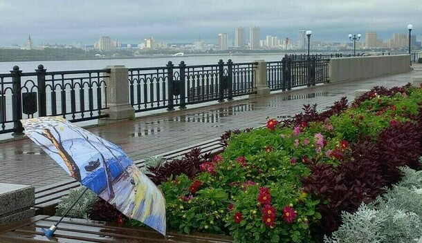 Местами дожди и грозы прогноз погоды на 13 августа в Амурской области
