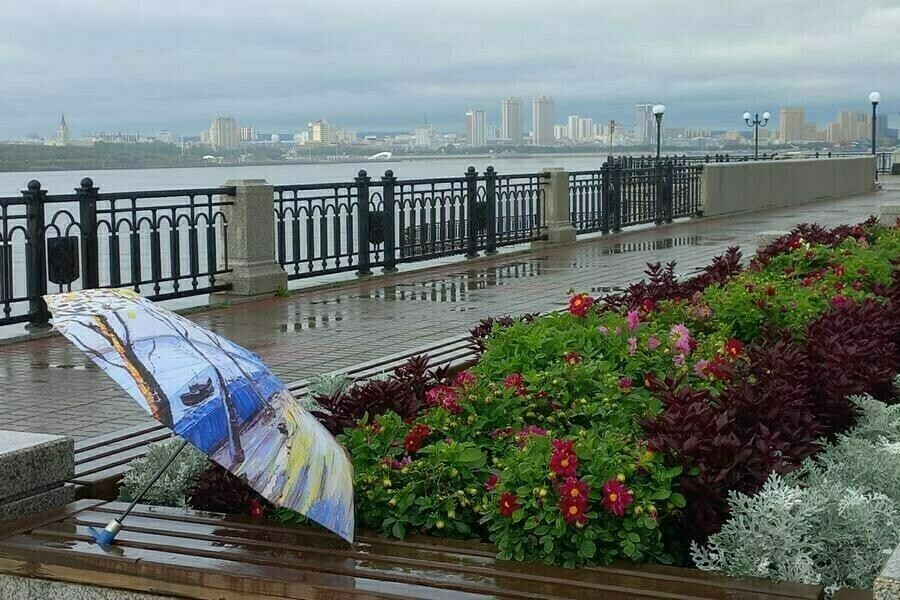 Местами дожди и грозы прогноз погоды на 13 августа в Амурской области