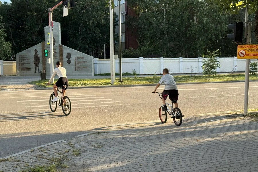 Мэр Благовещенска поднял важную тему в соцсетях 