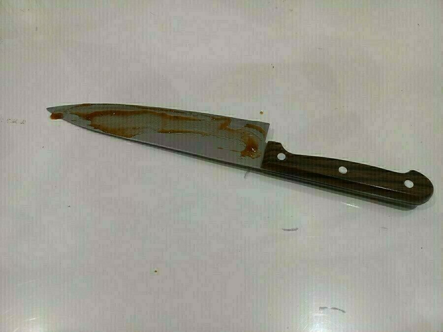 16летняя девочка ранила ножом двух сестер и попыталась скрыться