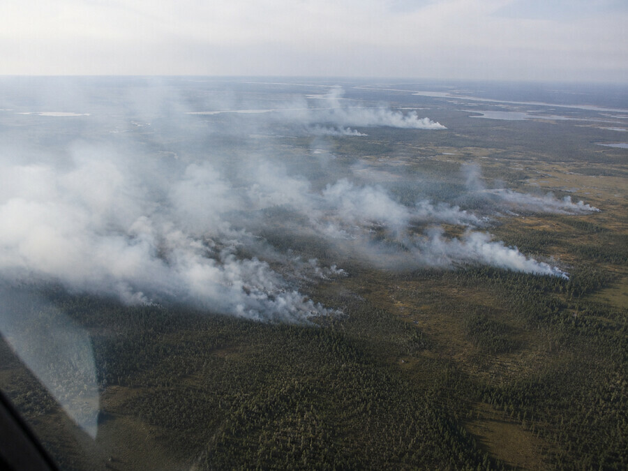 Площадь природных пожаров в ЯНАО превысила 106 тыс га