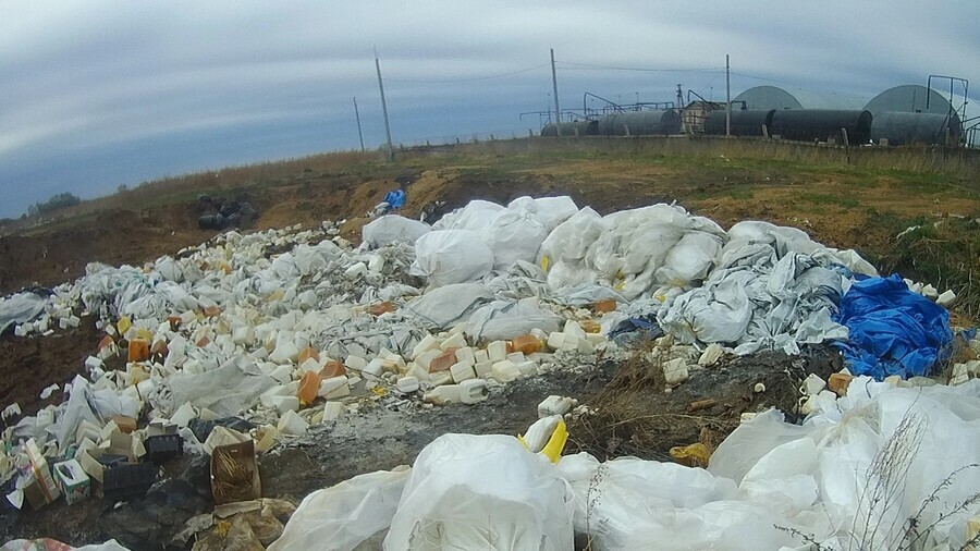 В Амурской области на сельхозземле со свалкой нашли опасных паразитов