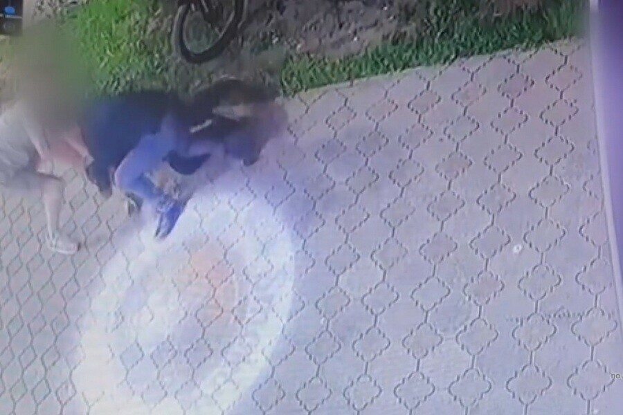 Задержание серийного преступника в Благовещенске попало на видео 