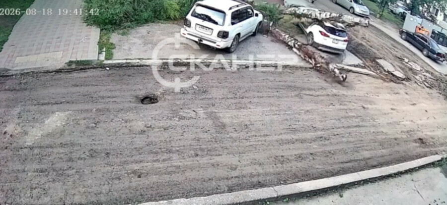 Два дерева упали на машины в Благовещенске видео момента