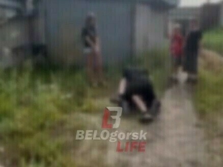 В СК РФ затребовали доклад по делу об избиении школьницы в Белогорске
