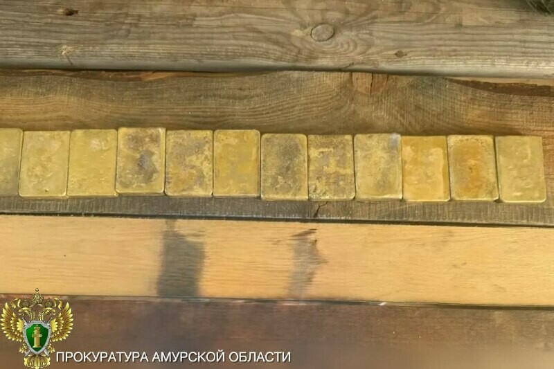 В Амурскую область незаконно привезли группу иностранцев с преступным умыслом