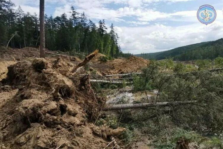 Космическая съемка против черных лесорубов Приамурье теряет гектары леса