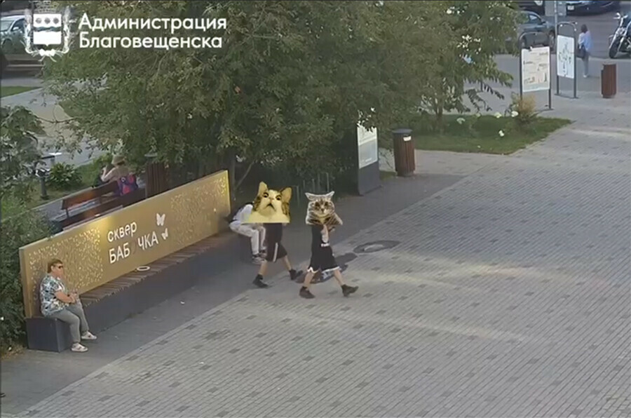 Сквер Бабочка в Благовещенске пострадал от рук вандалов видео