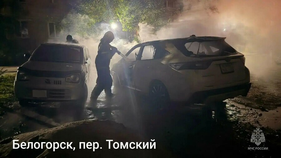 В Амурской области горели автомобили и частное подворье фото