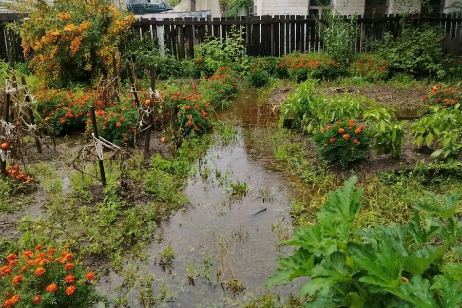Огороды у людей в воде в домах вода благовещенцы пожаловались на затопленный переулок фото видео 