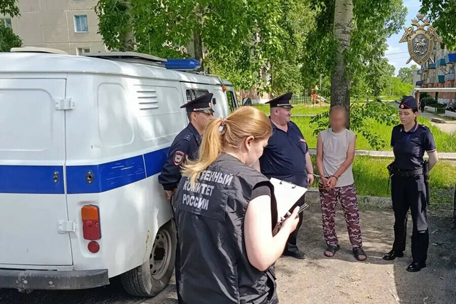 Убийцу с криминальным прошлым будут судить в Приамурье