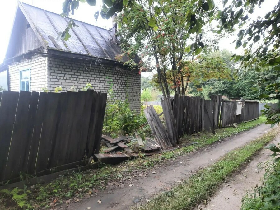 Полакомился грушей и сливой по дачам в Зейском округе прогулялся медведь