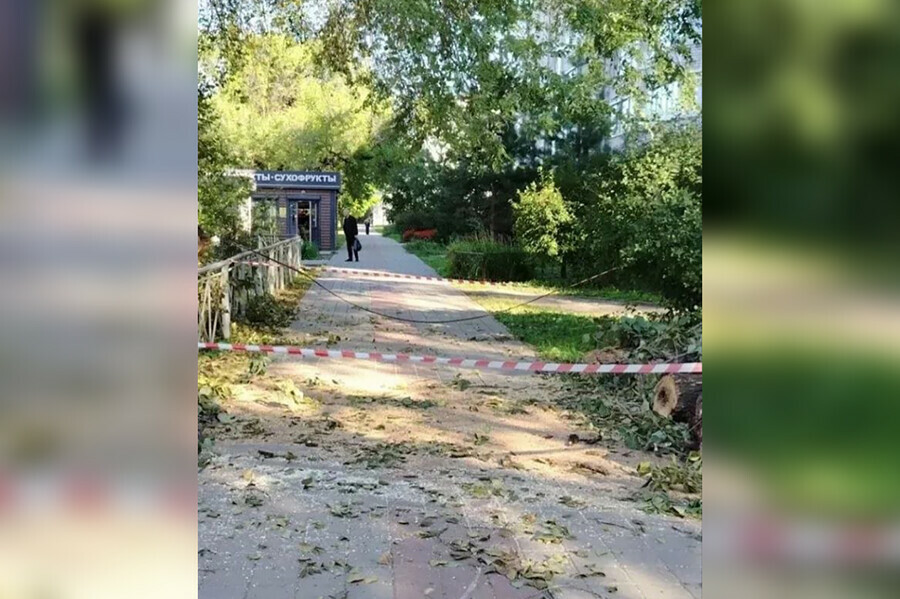 В Благовещенске убрали препятствие рухнувшее на тротуар 
