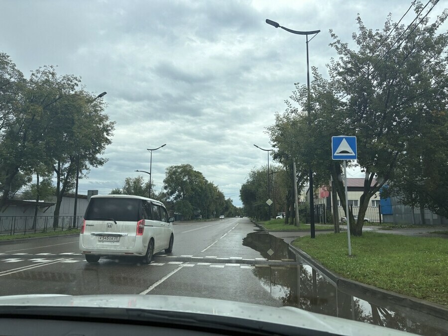 Кто же подпрыгнул на этой кочке в Благовещенске сделали более заметными лежачие полицейские на улице Ленина