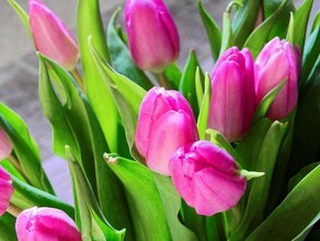 Закупочная цена выросла с 70 до 125 рублей Amurlife выяснил величину спроса на цветы в преддверии 8 Марта 