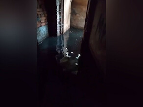 А до декабря нам как жить дом в Благовещенске остался без управляющей компании но с кучей проблем