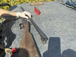 В Приамурье братья застрелили косуль до открытия сезона охоты