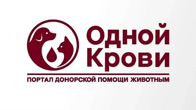 Ваш питомец может спасти другого в Приамурье хотят развивать донорство животных
