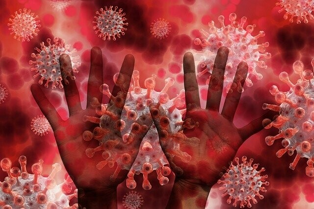 В Амурской области две новые жертвы коронавируса