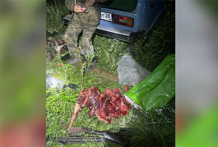 Четверых браконьеров в Амурской области заставили заплатить 13 миллиона за убитых косуль