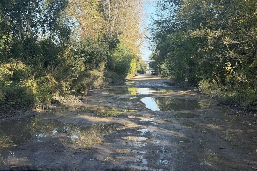 Таксисты отказываются ехать благовещенцы показали разбитую улицу города фото видео 