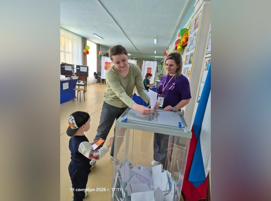 На прошедших в Приамурье выборах не использовали умные машины для подсчета голосов Почему