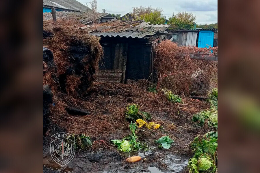 Тюки сена горят в селе Амурской области