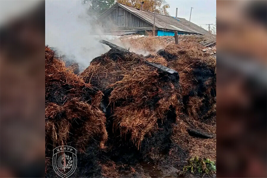Пошалили дети названа причина возгорания сена в амурском селе
