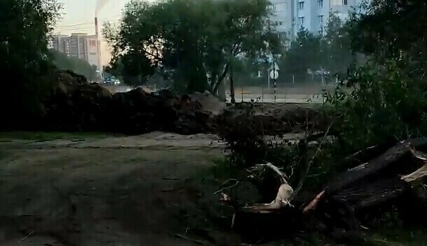 Вырубку деревьев в новом сквере Благовещенска и затянувшиеся сроки работ прокомментировали власти